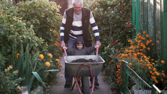 祖父和孙子骑着独轮车在花园里干活