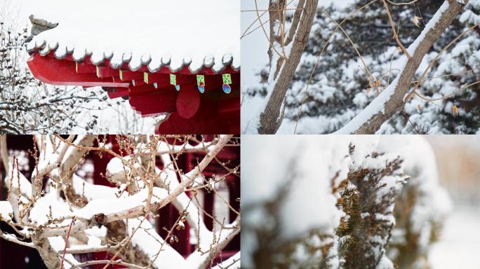 中式唯美小雪节气雪满天