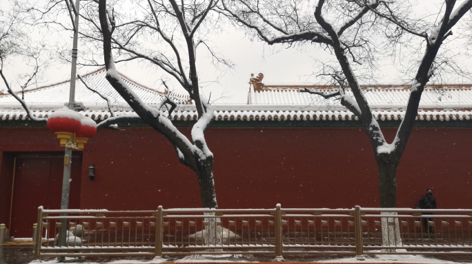 街头的雪北京街头雪景大雪纷飞