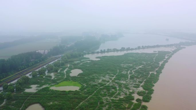 长江汛期防汛长江航运码头滨江湿地水位上涨