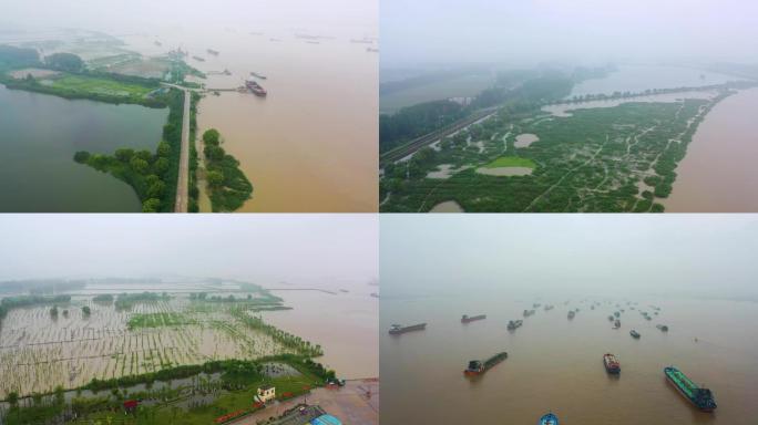 长江汛期防汛长江航运码头滨江湿地水位上涨