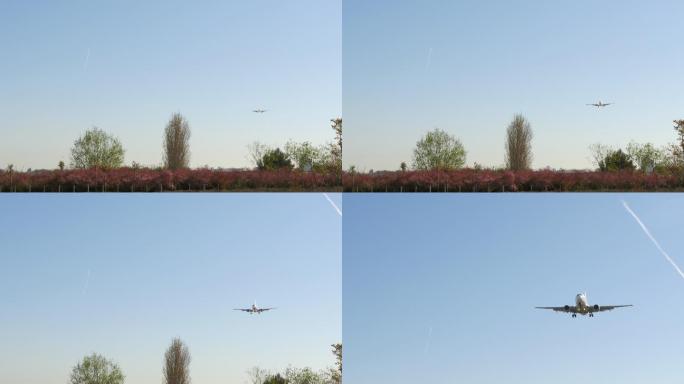飞机即将着陆蓝天头顶飞机飞机降落