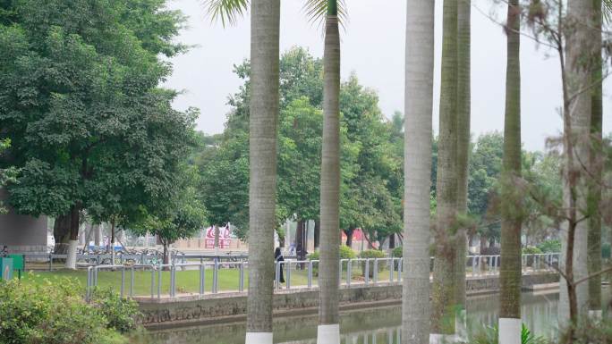 北师大 大学时代 校园 欢声笑语 大学生