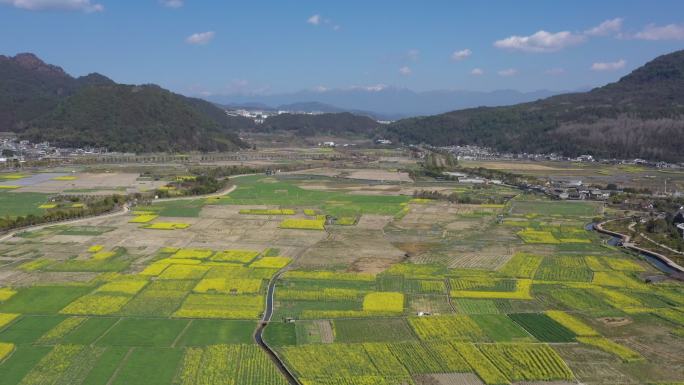 原创航拍田地