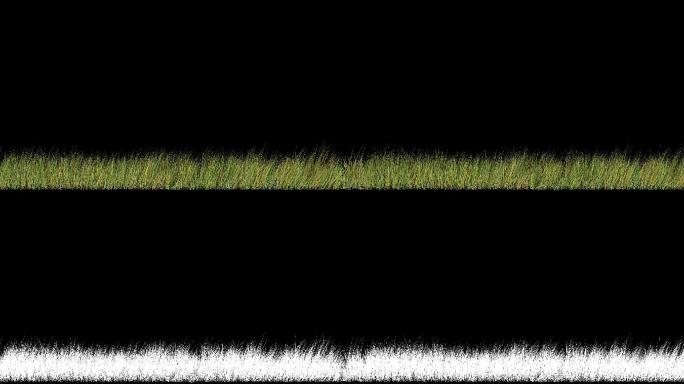 草在风中摇曳草坪草地视频素材透明元素