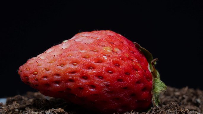 高清-草莓萎缩延时
