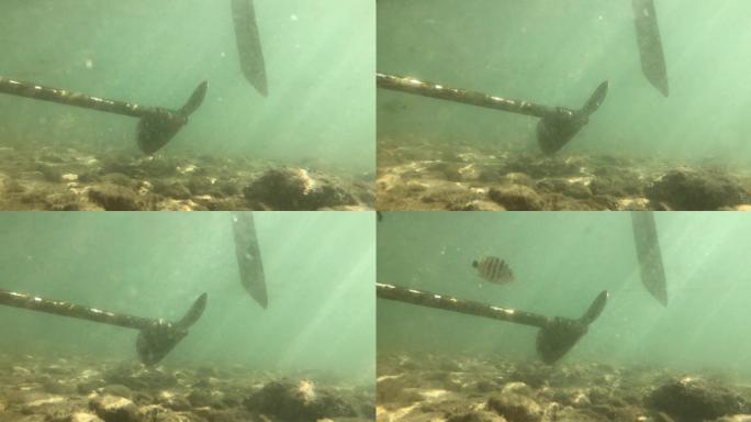 水下相机拍摄船底
