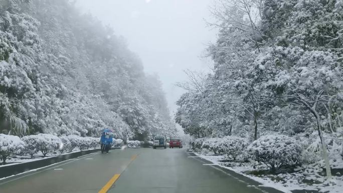 公路下雪景
