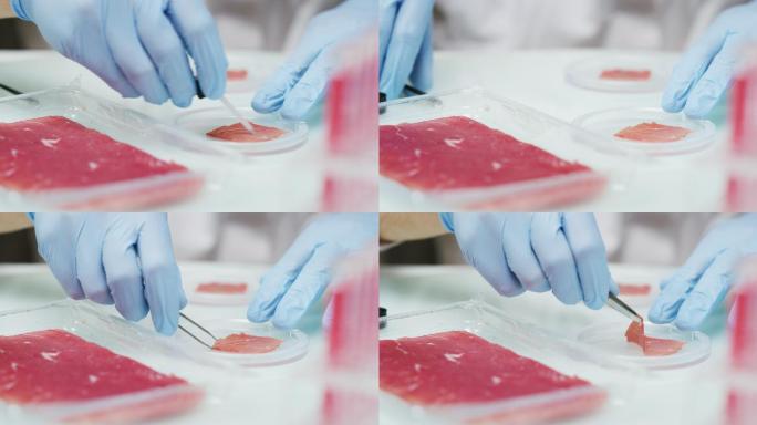 肉样本放心肉食品安全肉类检测