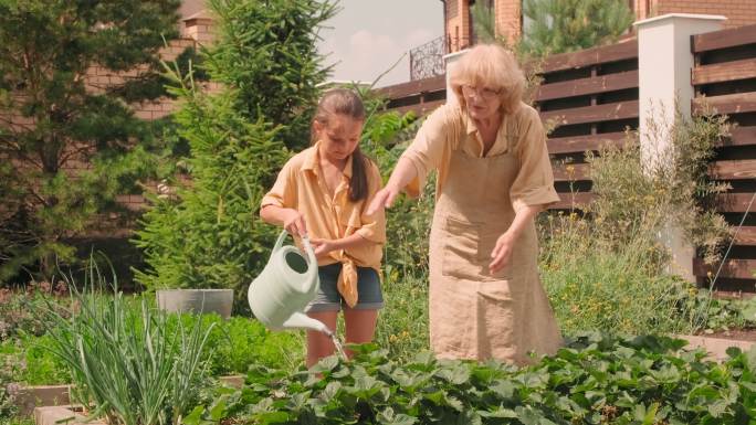 和祖母在花园里浇花的女孩