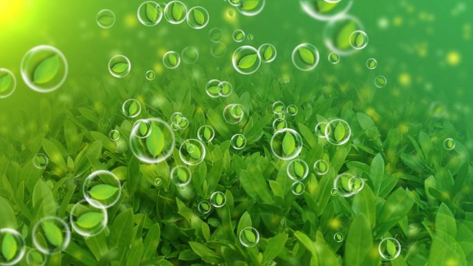 草地绿叶泡泡背景循环