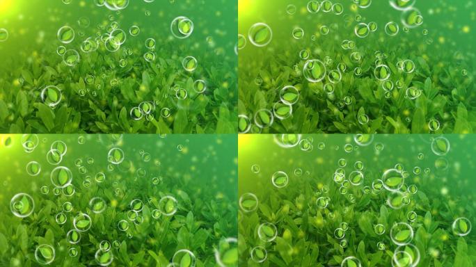 草地绿叶泡泡背景循环
