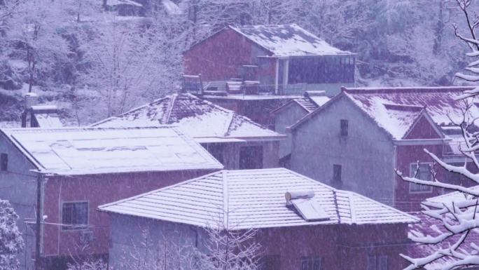 浙江农村下大雪
