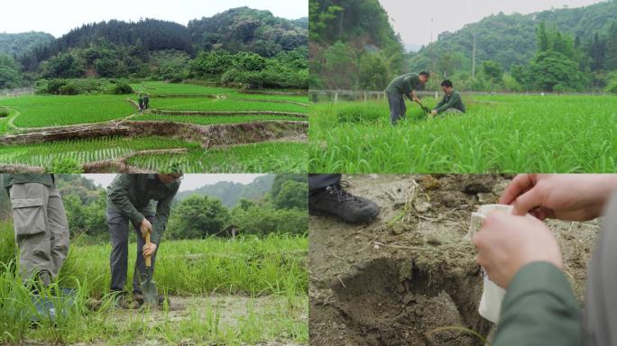 土壤采集 土壤分析 农业