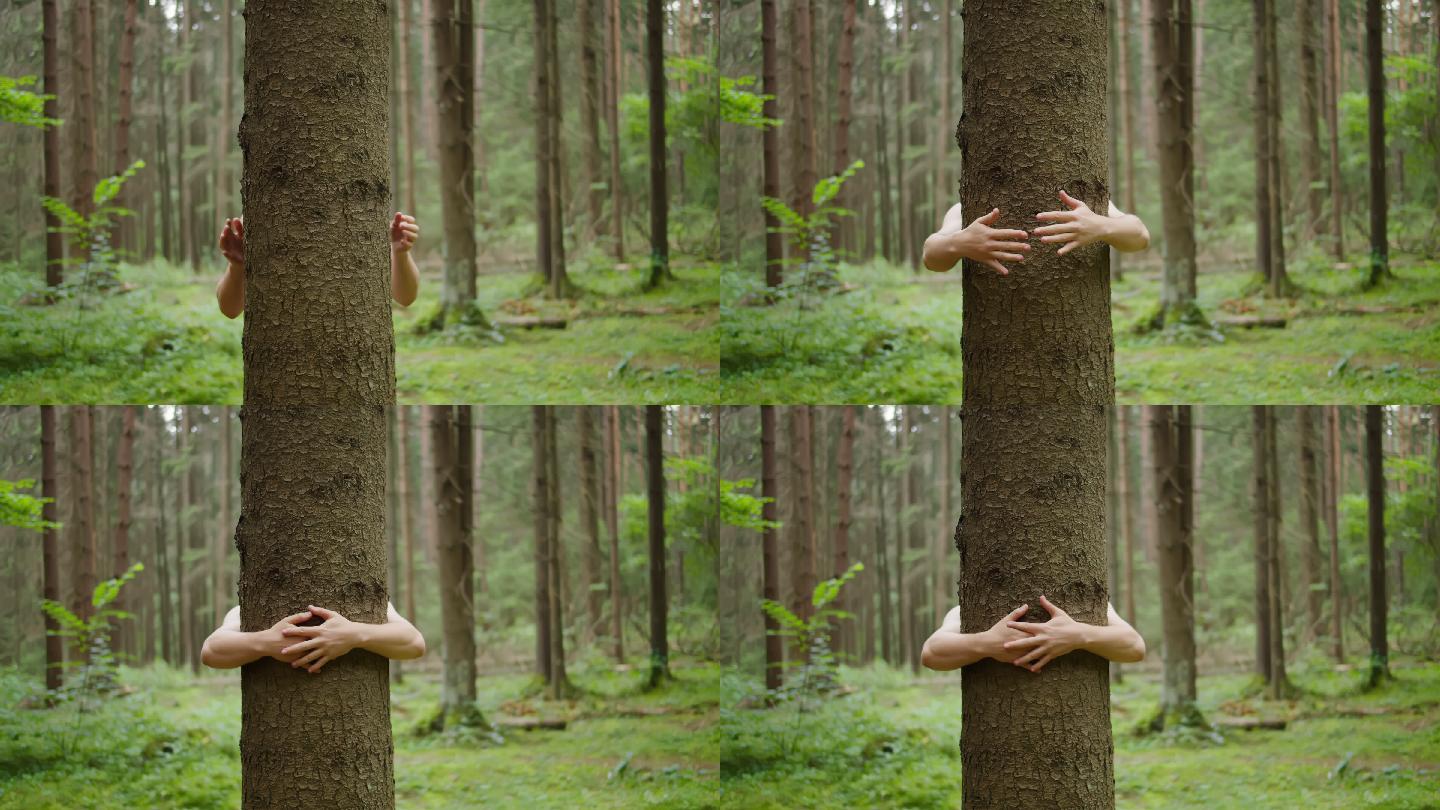 人类用手拥抱树干，自然保护，环境保护