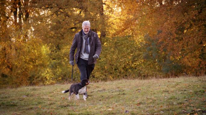 老人带着狗在秋天的风景中散步