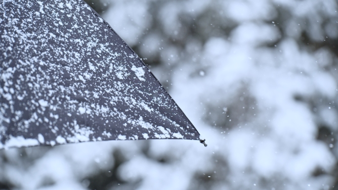 4k唯美雪景下雪雨伞飘雪打伞雪天行人