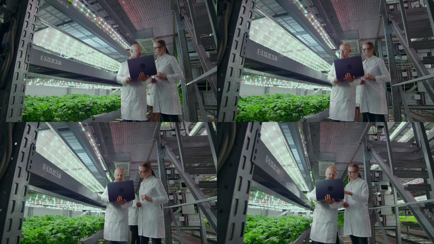 科学家们在数据中心对蔬菜进行研究数据