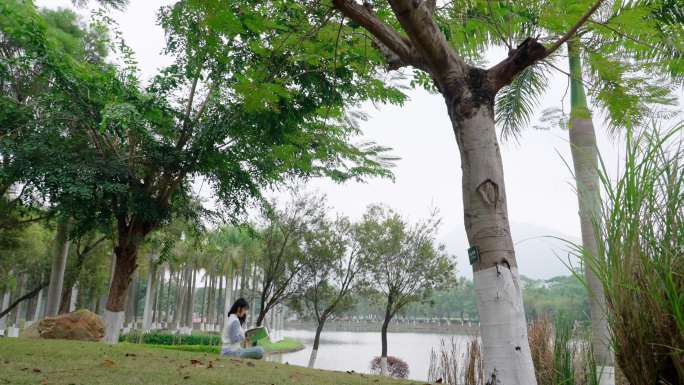 阅读书籍 认真 备考 大学 快乐的时光