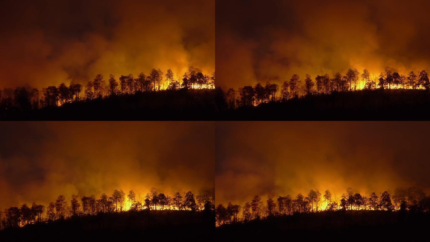 森林火灾是由人为因素引起的火灾