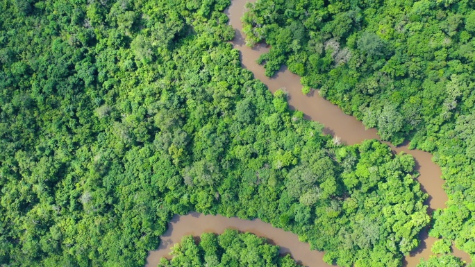 鸟瞰刚果雨林中蜿蜒的丛林河流