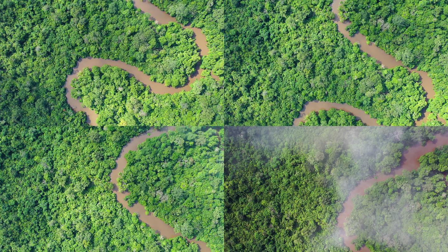 鸟瞰刚果雨林中蜿蜒的丛林河流