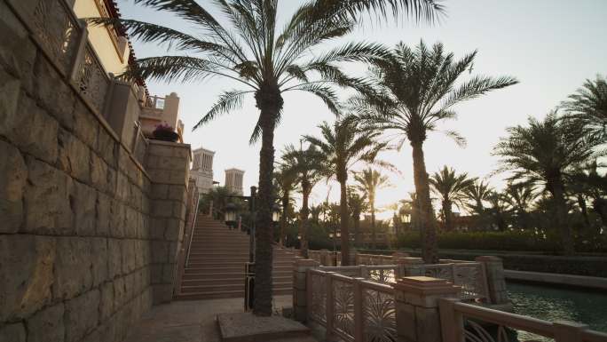 迪拜豪华住宅区棕榈树街景