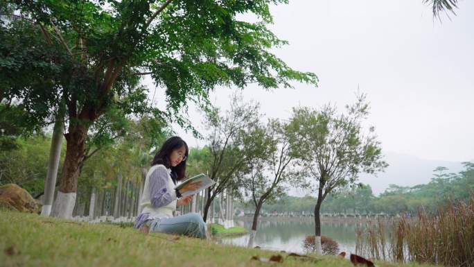 草坪 阅读 闲暇时光 看书 丰富生活