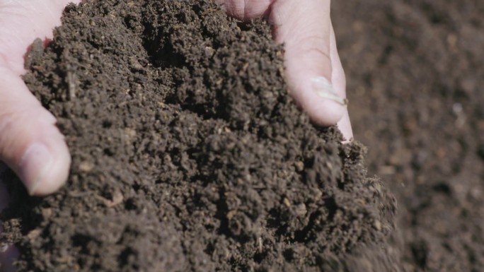 4K实拍 手捧着土壤 有机肥 泥土检测