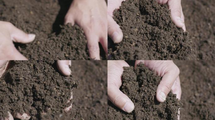 4K实拍 手捧着土壤 有机肥 泥土检测