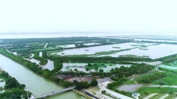 南沙湿地公园 广州生态湿地 生态建设