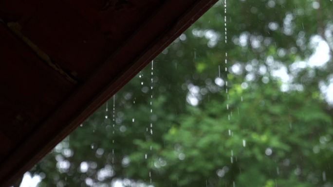 下雨特写雨滴绿植雨水公园空镜