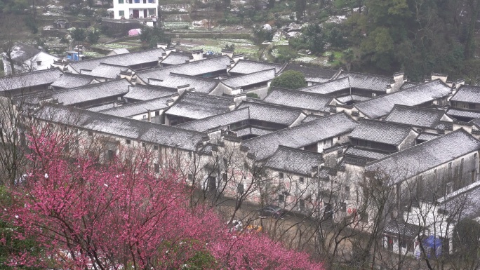 江南冬天古建筑千柱屋梅花白雪春天冰雪融化