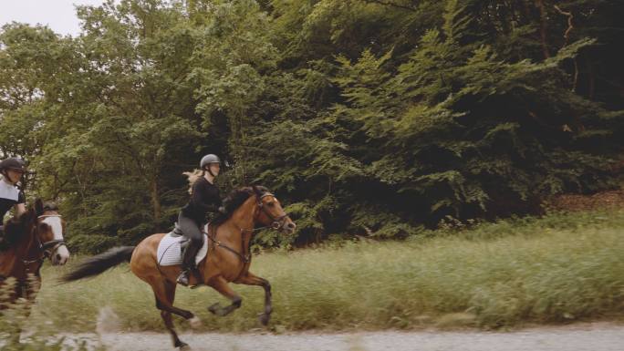 两个骑马的人骑着马穿过森林