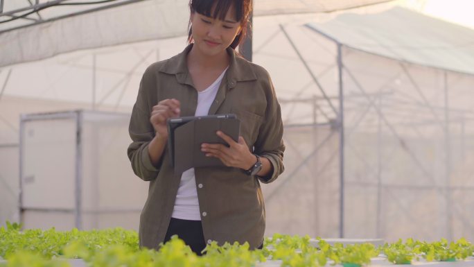 检查水培植物的女子