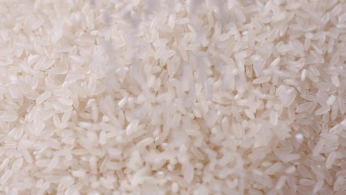 高清米粒落下升格素材