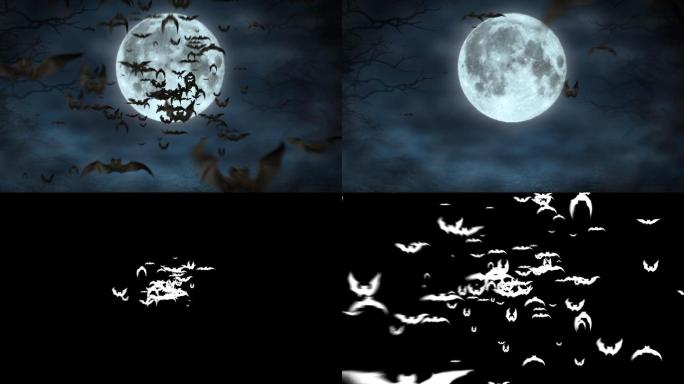 蝙蝠动画透明通道吸血吸血鬼