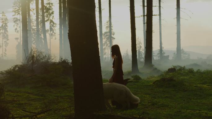 带着狗在森林里散步的女人