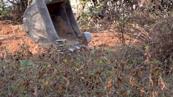 施工现场挖土机清理路边杂草特写A