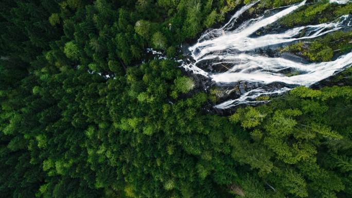 巨大瀑布鸟瞰图水流河水树林