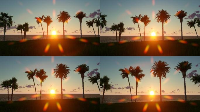 海滩上有棕榈树的日落