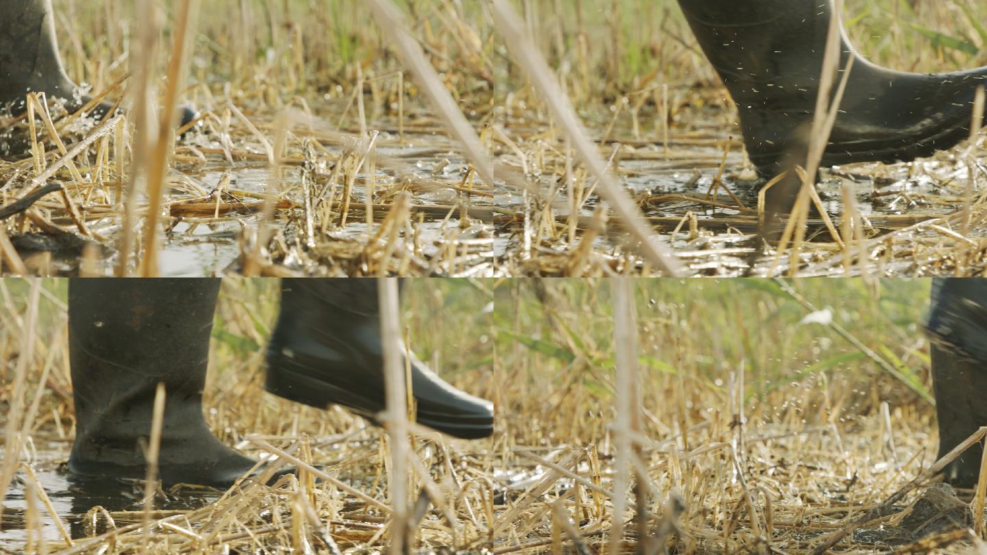 穿过农田的人走过湿地水桶鞋