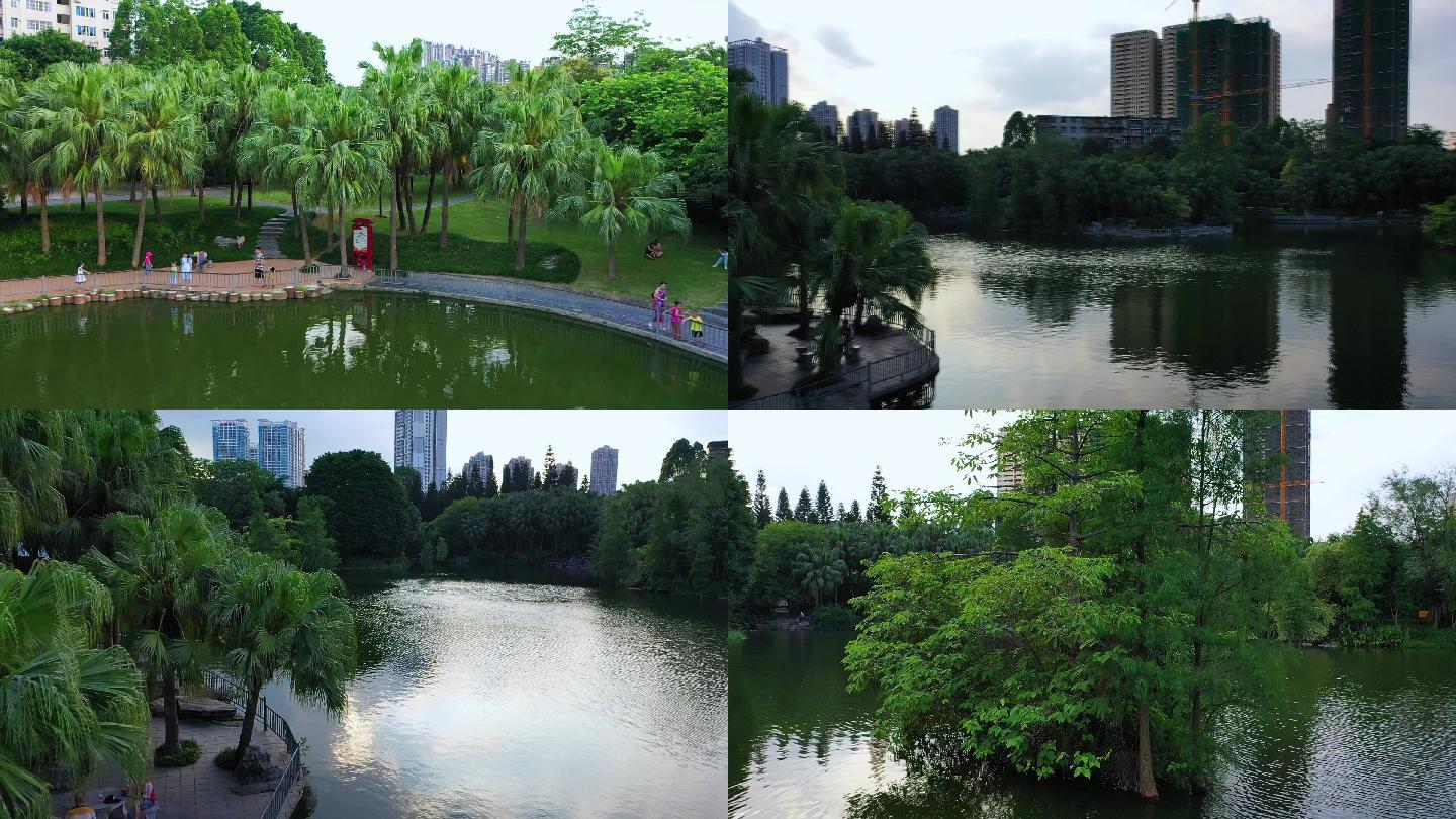 城市公园 生态环境 人居 园林城市 绿化