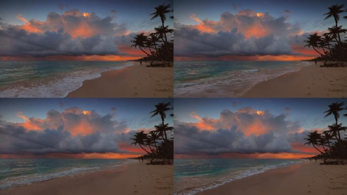 夕阳下的海景椰子树海边沙滩日落黄昏