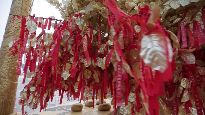 河南新郑黄帝故里祭祖拜祖大典幸福树许愿