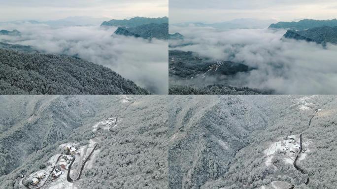 重庆金佛山朝霞云海雪景