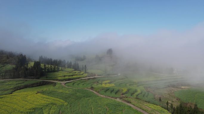 春天乡村山间云雾和油菜花