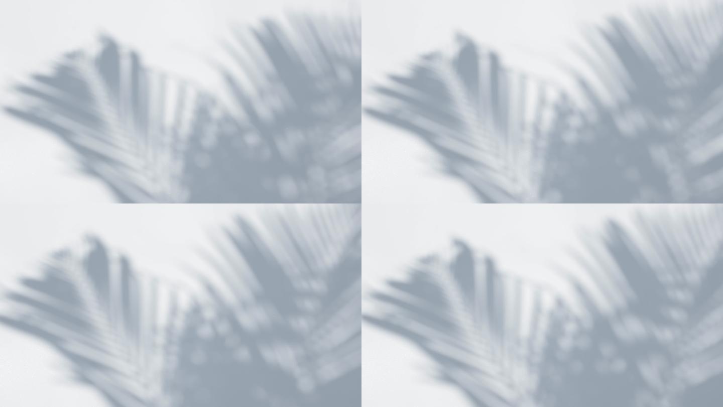 风中的阴影棕榈叶覆盖在白色墙壁背景上