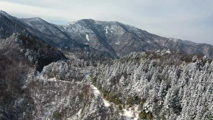 秦岭4k雪景素材