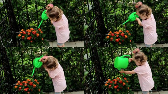 一个小女孩正在浇花